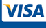 visa card